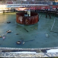 2010-02-epuration-OK (25)